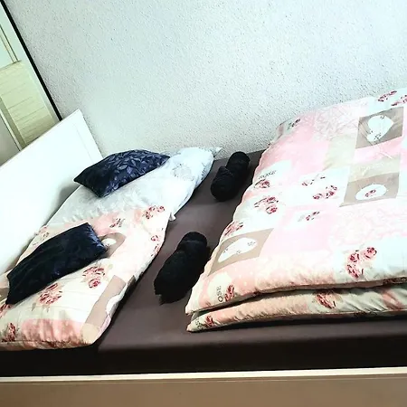 Room In City Center Halle With Shared Bathroom & Kitchen - Free Wifi, Netflix, Ipad & Ground Floor Exterior foto