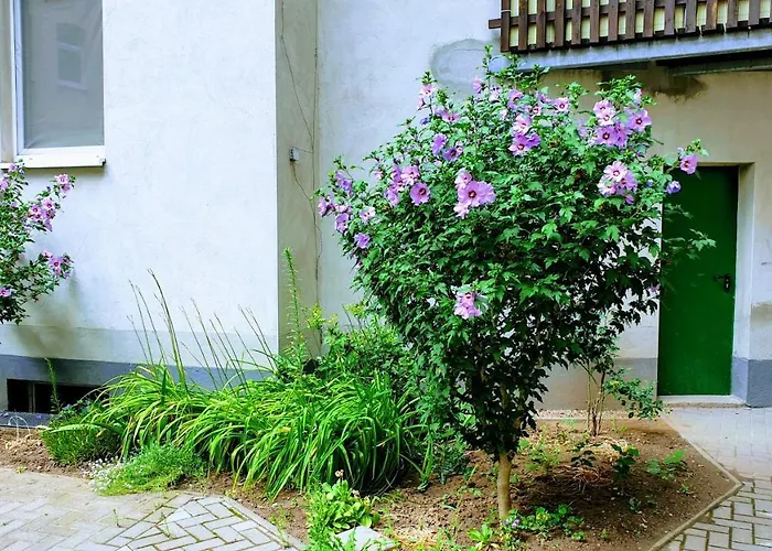 Room In City Center Halle With Shared Bathroom & Kitchen - Free Wifi, Netflix, Ipad & Ground Floor